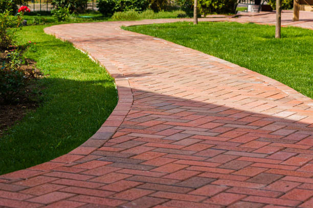 Best Residential Paver Driveway  in Las Lomas, TX